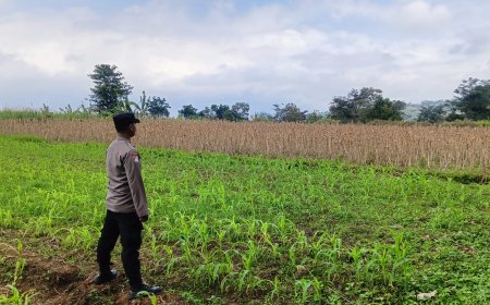 Polisi Turun ke Desa, Dukung Petani Jaga Pasokan Pangan di Kabupaten Malang